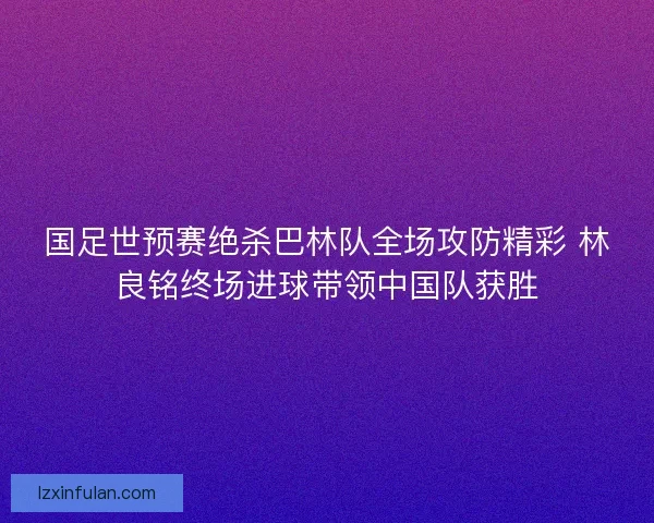国足世预赛绝杀巴林队全场攻防精彩 林良铭终场进球带领中国队获胜